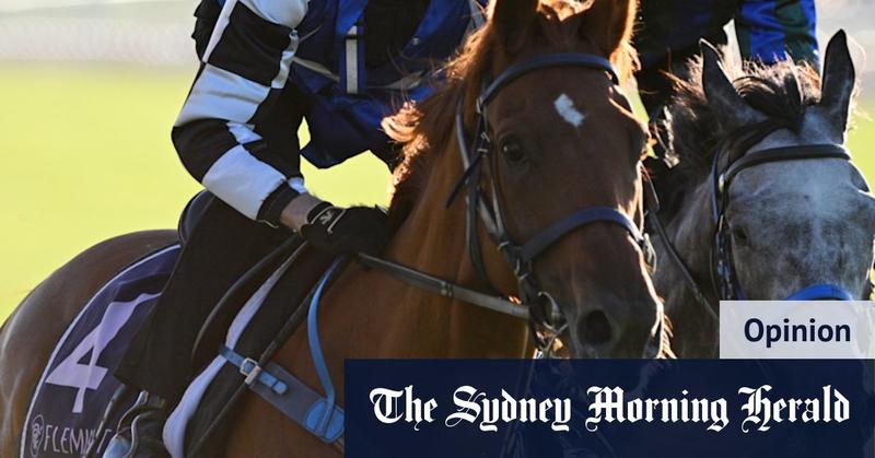 Vauban has failed twice in the Melbourne Cup. Here’s why the third time will be the charm Vauban has failed twice in the Melbourne Cup. Here’s why the third time will be the charm