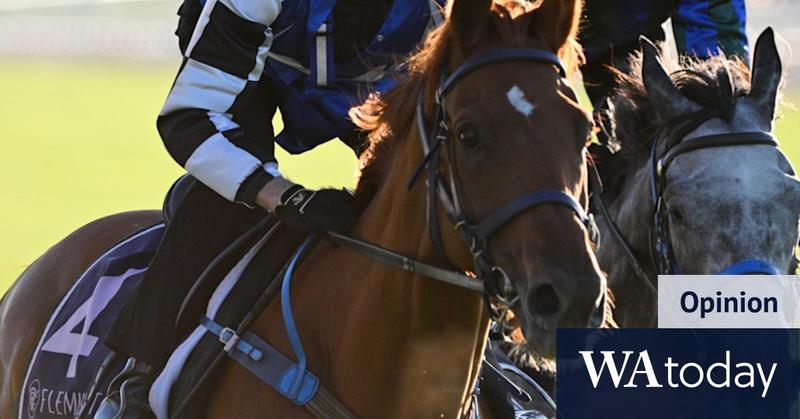 Vauban has failed twice in the Melbourne Cup. Here’s why the third time will be the charm