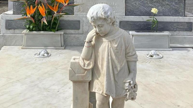 La flor de la tristeza