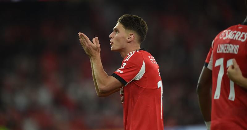 Um lince ibérico anulado por um centímetro Um lince ibérico anulado por um centímetro