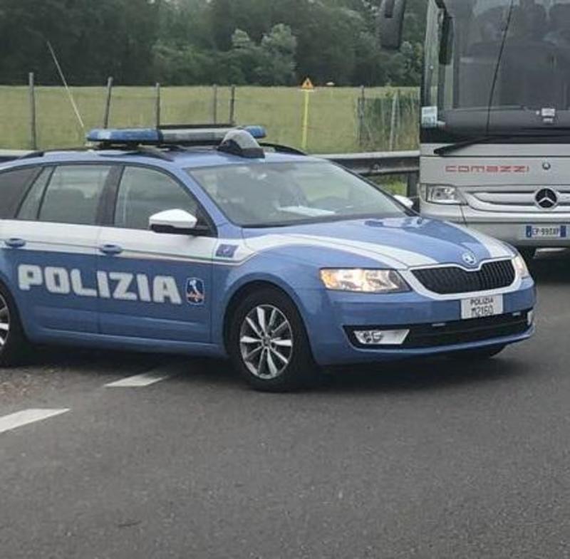 Girava con alcune pecore morte sul camion: denunciato