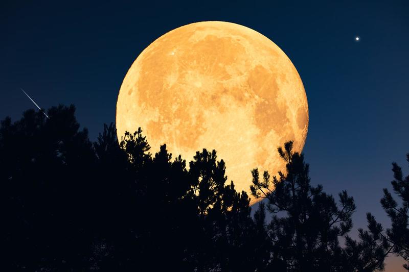 La Superluna del Castoro arriva il 5 novembre 2025, tutto quello che c’è da sapere sulla più grande dell’anno