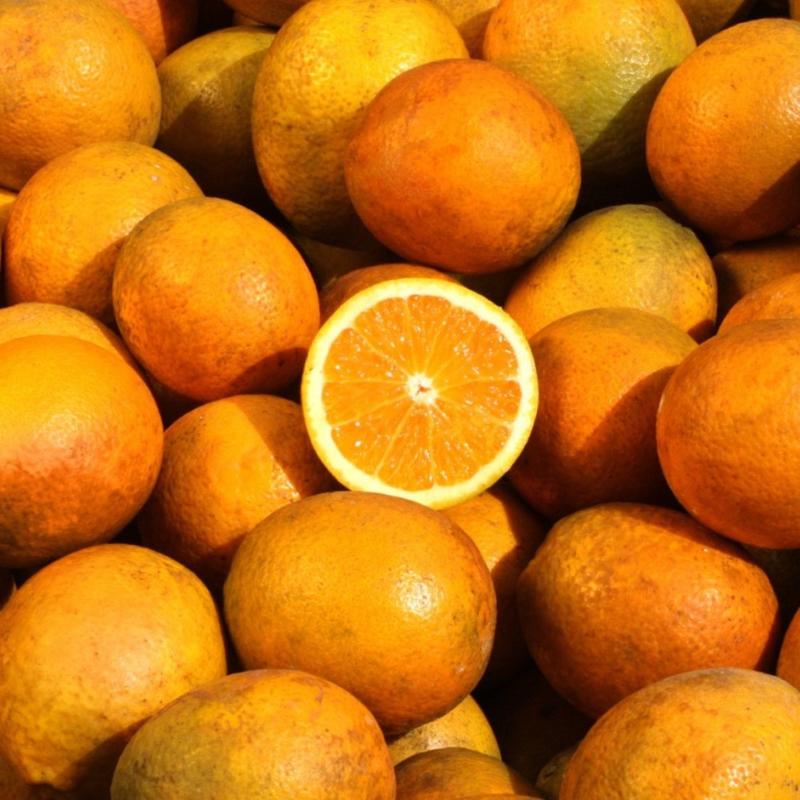 Onde fica a Serra D’Água?