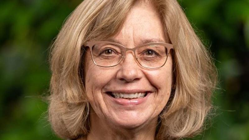 Debat: »Halvdelen skal være pædagoger i Skanderborgs børnehuse«