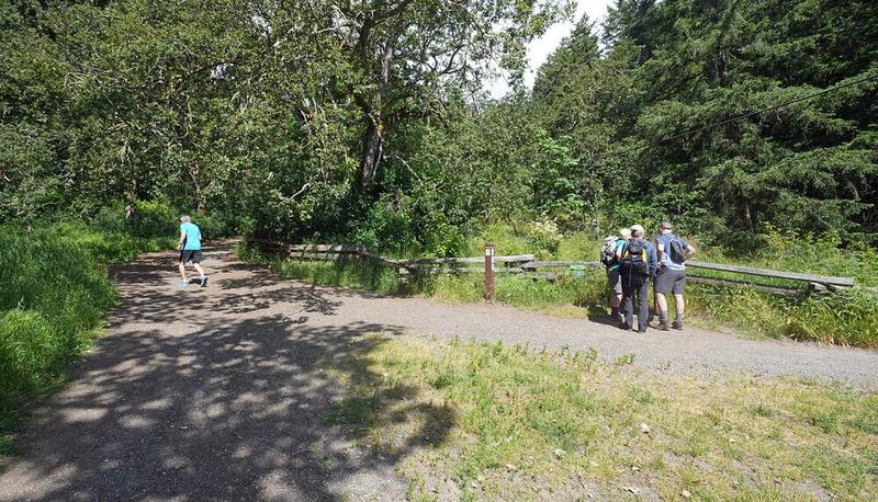 Letters Nov. 3: B.C.’s biodiversity needs to be protected