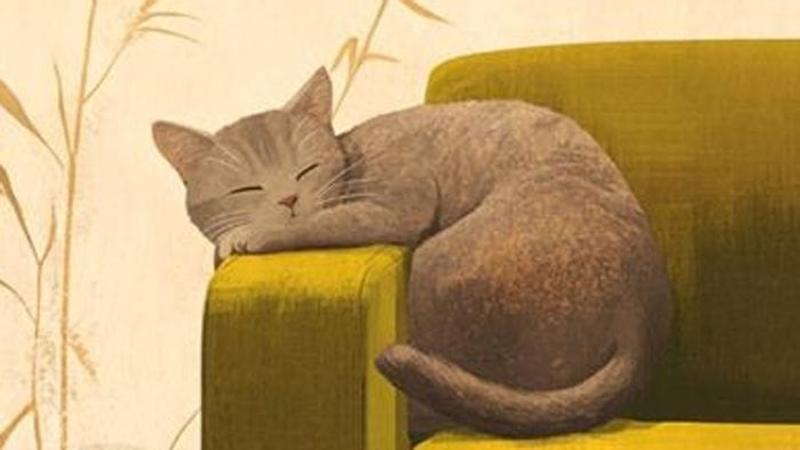 I gatti: presenze e silenzi che consolano più di mille parole