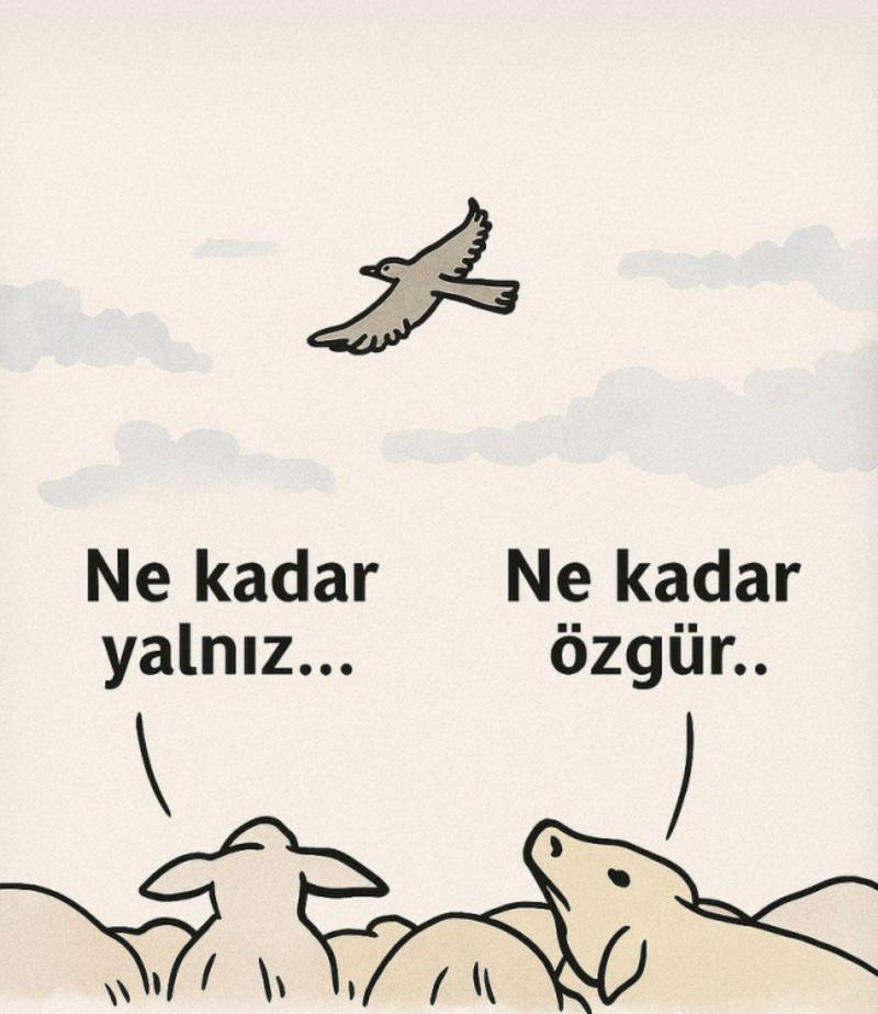 Düşünce Yumağı… Düşünce Yumağı…