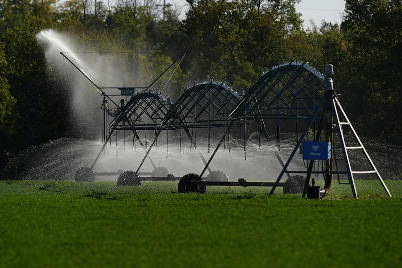 2 ways you can conserve the water used to make your food