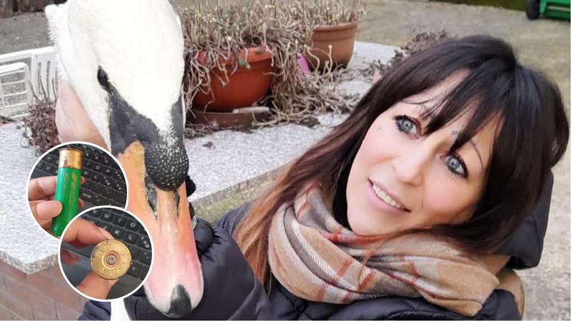 Gabriella trova una cartuccia di fucile nella buchetta delle lettere. “Avevo lanciato sos contro i bracconieri dei lupi”