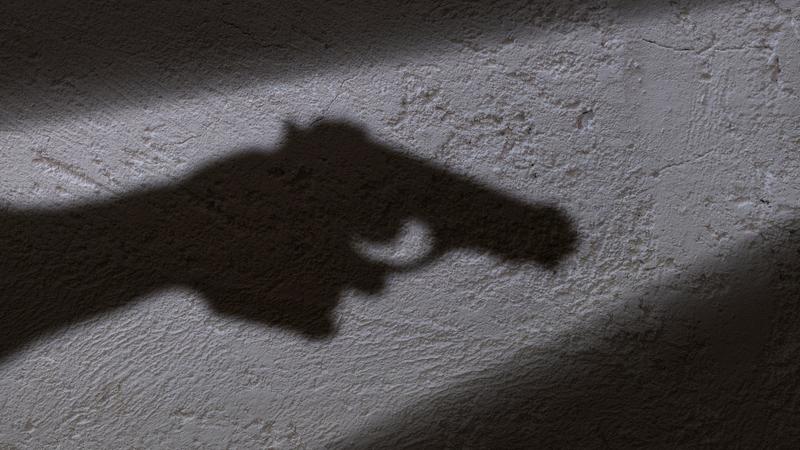 Entrano in casa per rubare: il proprietario spara