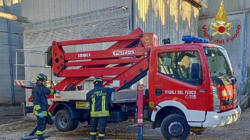 Incidente sul lavoro in Polesine, operaio precipita dal tetto di un silos e muore sotto gli occhi di un collega
