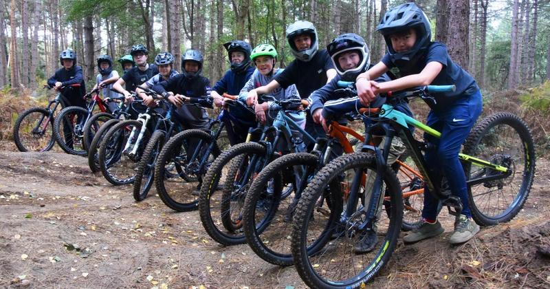 Dog walkers strike back in Bacton Wood as remote rangers 55 miles away swoop in Dog walkers strike back in Bacton Wood as remote rangers 55 miles away swoop in