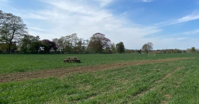 Dog walking field finally gets go-ahead... six months after it opened Dog walking field finally gets go-ahead... six months after it opened