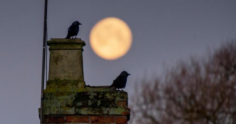 How to see the brightest supermoon of the year in the sky above Norfolk How to see the brightest supermoon of the year in the sky above Norfolk