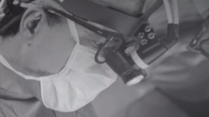 Alfieri: «Senza umanità non c’è eccellenza clinica» Alfieri: «Senza umanità non c’è eccellenza clinica»