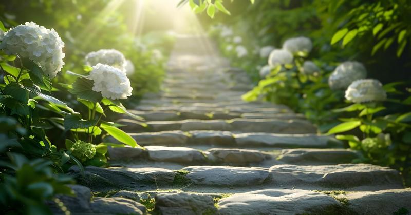 Connect to Your Dark Side to Heal