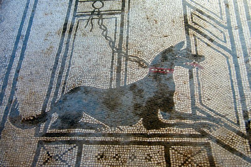 Cuando un perro era una cosa: el viaje legal de los animales desde la antigua Roma hasta la actualidad