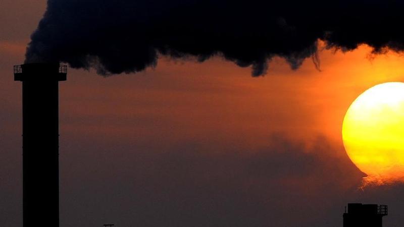 Cumbre de Brasil 2025: epitafio del planeta