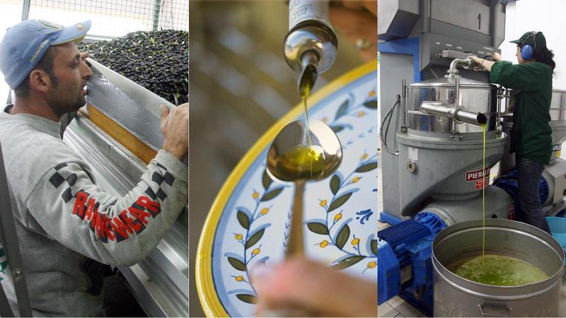 Rese dell'olio in Emilia Romagna nel 2025: tutti i dati provincia per provincia