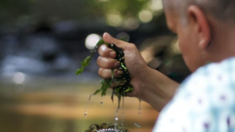 Dia da Cultura: os terreiros e a invenção contínua dos Brasis