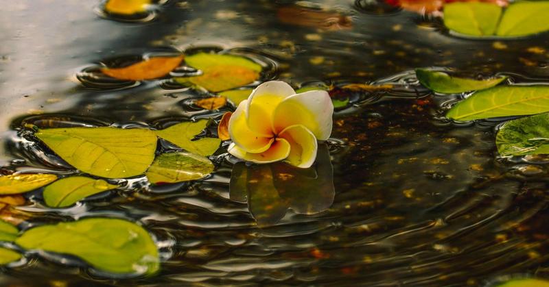 Building a Stronger Relationship With Yourself