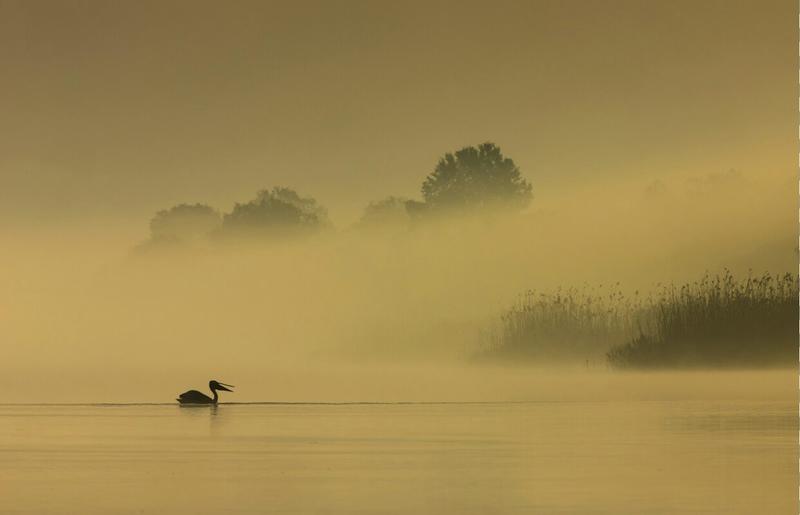 Ukraine’s massive nature project is helping veterans and land recover Ukraine’s massive nature project is helping veterans and land recover