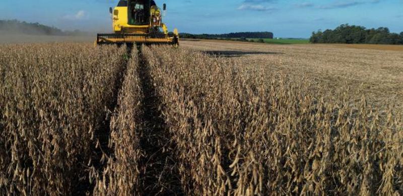 Mesmo com acordo China-EUA, Brasil terá recorde nas exportações de soja