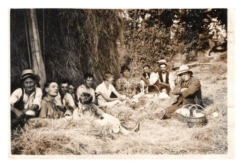 Rural Devon cuisine has a rich history – from the origins of cream teas to squab pie