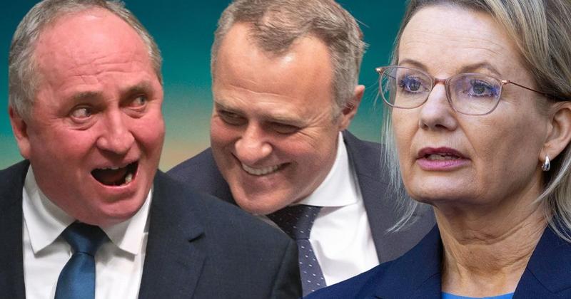 Lib woes are about winning – but not at elections Lib woes are about winning – but not at elections