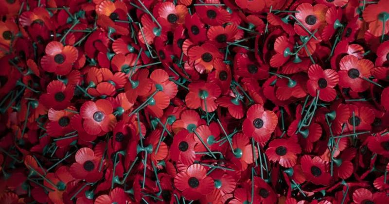 The poppy has been hijacked – why I won’t wear it