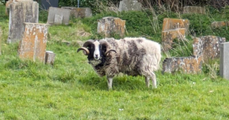 Norfolk churches invited to enter new competition Norfolk churches invited to enter new competition