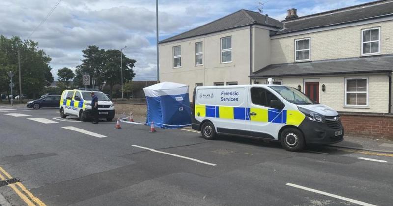 Teen pleads guilty following assault in normally quiet neighbourhood