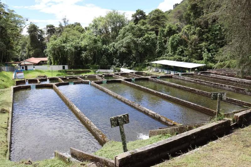 Mérida | Fortalecen la acuicultura con avances en la Estación Truchícola La Mucuy Mérida | Fortalecen la acuicultura con avances en la Estación Truchícola La Mucuy