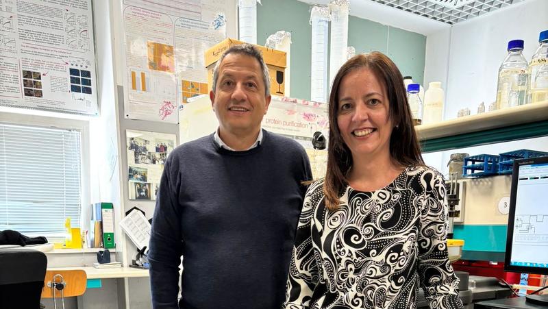 La plastica delle bottigliette rinasce: ecco come gli scarti diventano molecole di valore