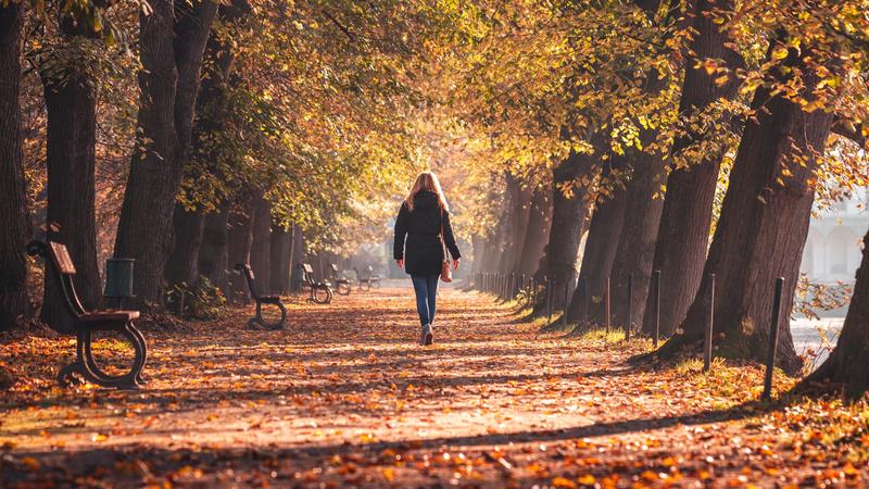 Paura a Villa Ghigi, donna importunata mentre cammina: “Vieni qui, bella”