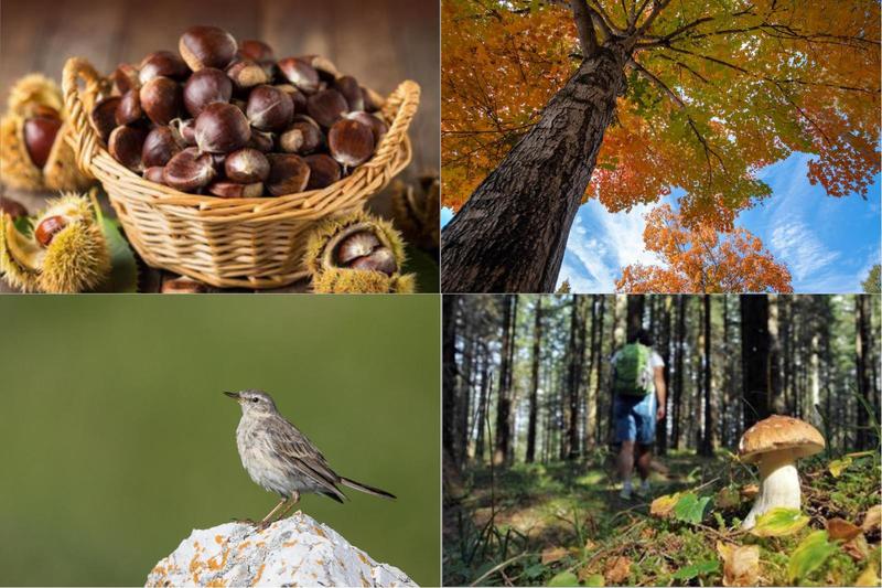 Trekking a Bologna e provincia a novembre: dove e quando