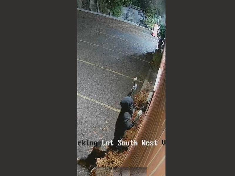 OPINION: Jewish, Chinese communities stand together in face of hate in Canada OPINION: Jewish, Chinese communities stand together in face of hate in Canada