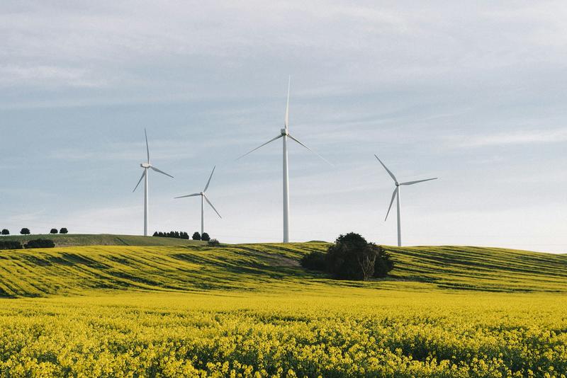 As global climate action threatens to stall, can Australia step up at COP30 in Brazil?