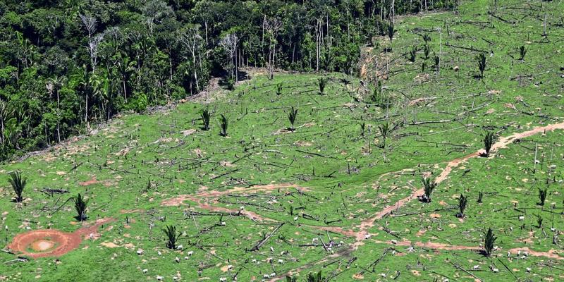 Dafür zu zahlen, dass C02 anderswo eingespart wird, ist nicht falsch
