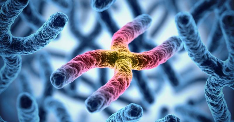 How Much Do Your Sex Chromosomes Really Determine?