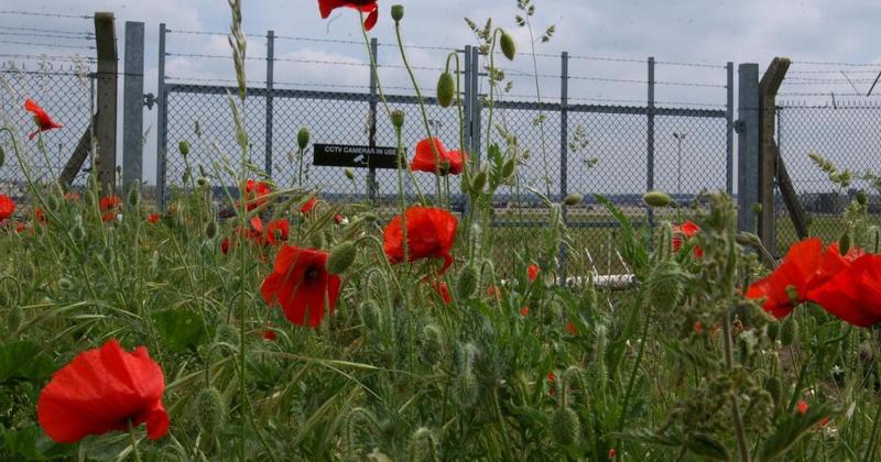 US servicemen face Remembrance Day restrictions over US shutdown