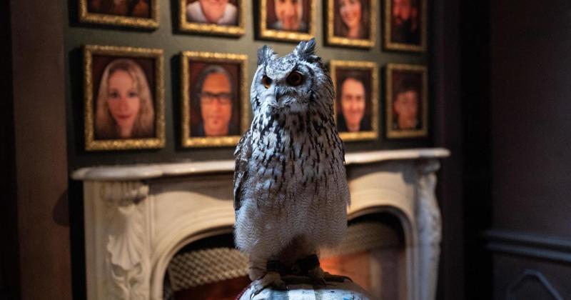 Winner of Celebrity Traitors leaked to fans after massive streaming blunder