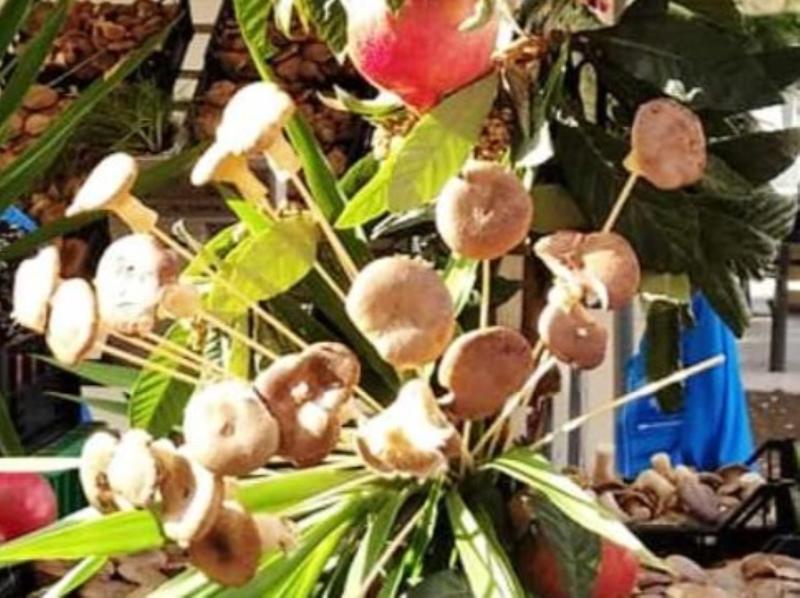 “L’arte per il cardoncello”, una mostra nel centro storico “L’arte per il cardoncello”, una mostra nel centro storico