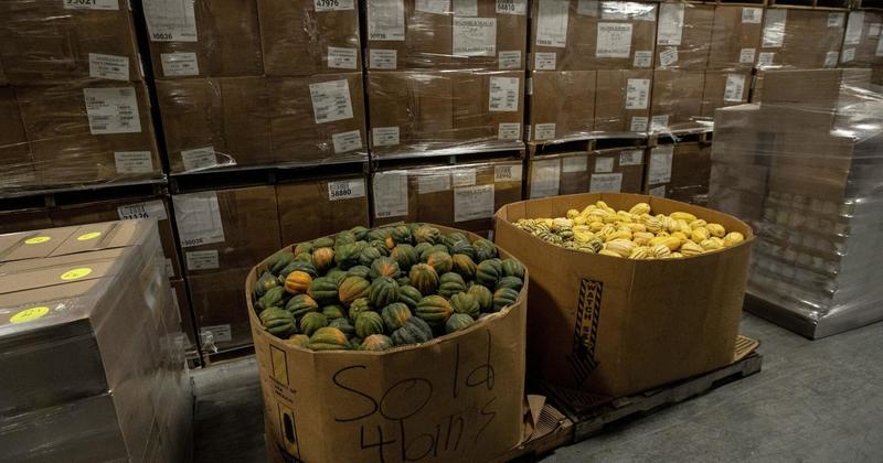 Another Voice: Too much food is wasted as too many people go hungry