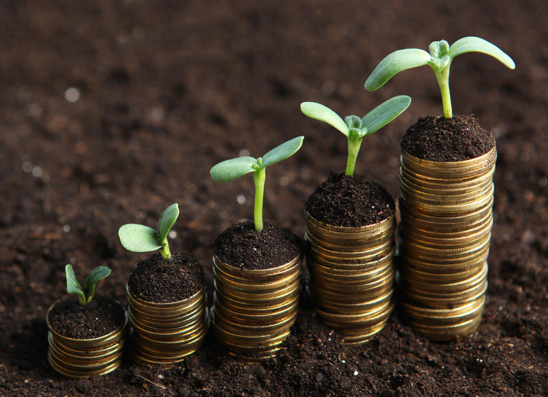 Governments can support fossil fuels and a climate policy simultaneously