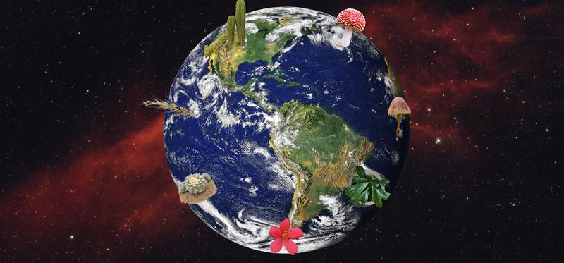 A psychedelic tour of Earth’s ecosystems – from the desert to Siberia