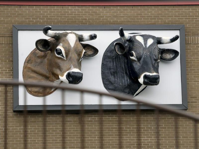 The Right Chemistry: There are no cows in Louis Pasteur's crypt The Right Chemistry: There are no cows in Louis Pasteur's crypt