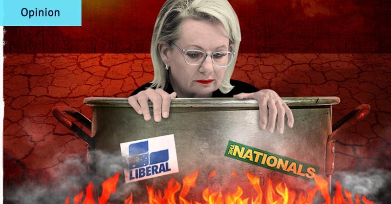 Liberals’ zero-sum game reaches terminal velocity Liberals’ zero-sum game reaches terminal velocity