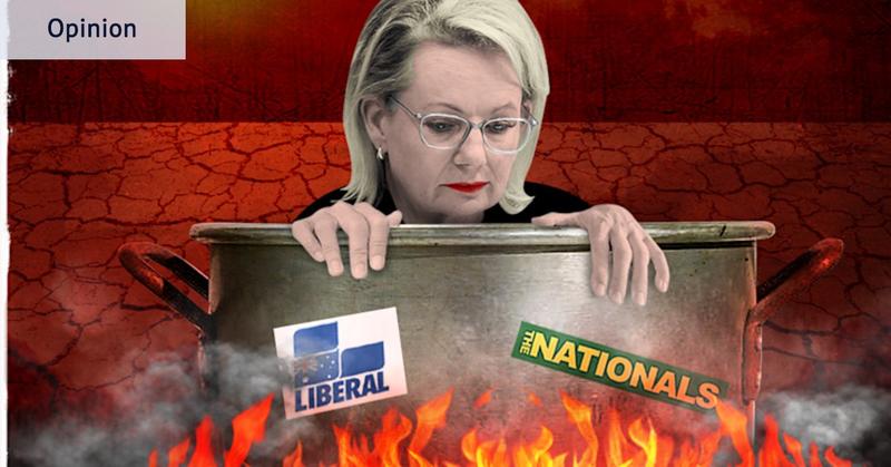 Liberals’ zero-sum game reaches terminal velocity Liberals’ zero-sum game reaches terminal velocity