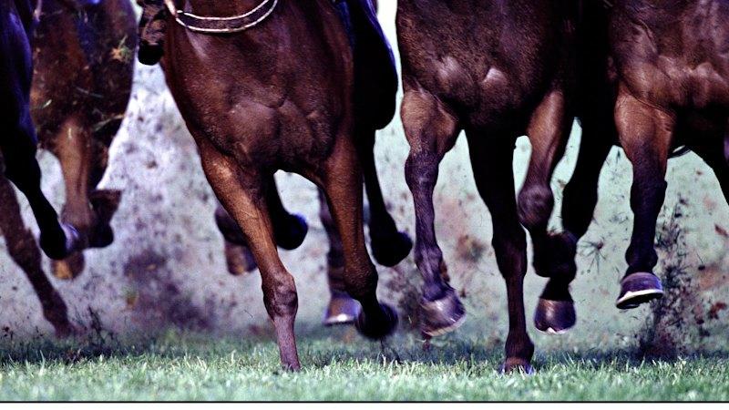 Carnival a win for horse racing but governance questions remain